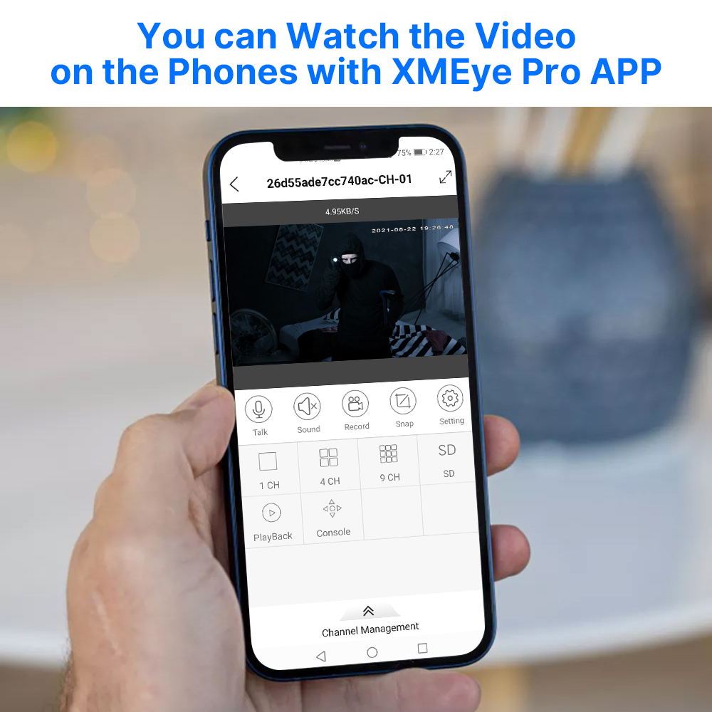 Hiseeu 5MP Audio IP cámara de  - Home Cinema Sony reseña y precio