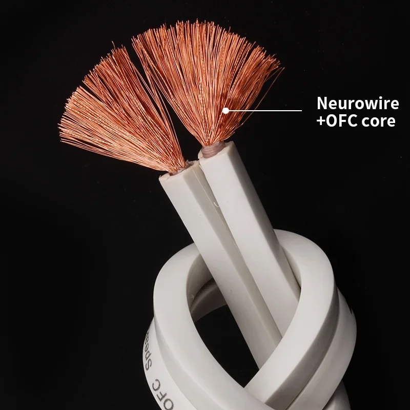 YYTCG DIY Cable de altavoz Cab - Home Cinema Solution reseña y precio